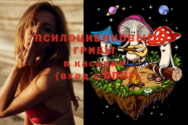 бошки Елабуга
