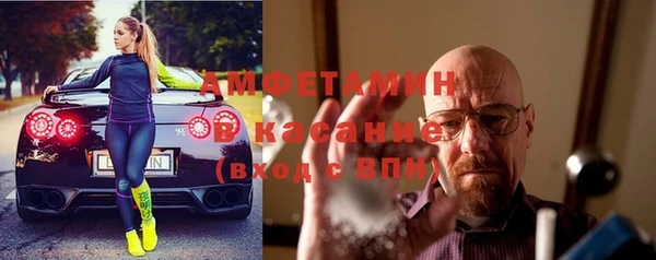 молекула духа Ельня