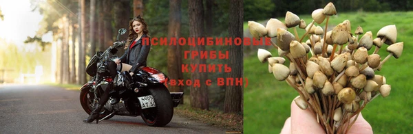 кокаин VHQ Елизово