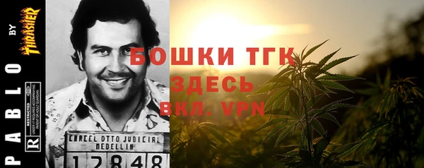 бошки Елабуга