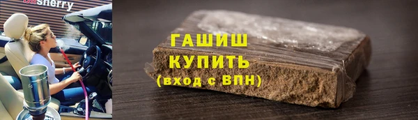 молекула духа Ельня