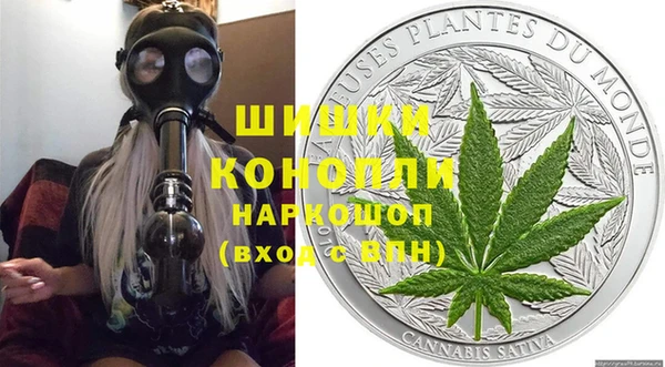молекула духа Ельня