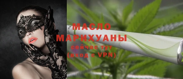 молекула духа Ельня