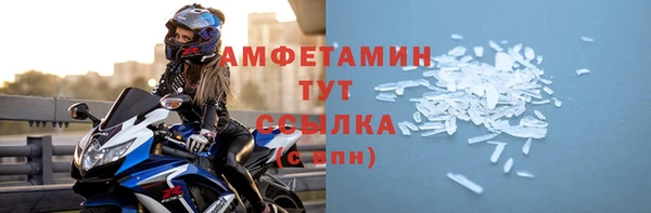 молекула духа Ельня