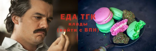 молекула духа Ельня