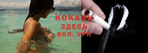 молекула духа Ельня