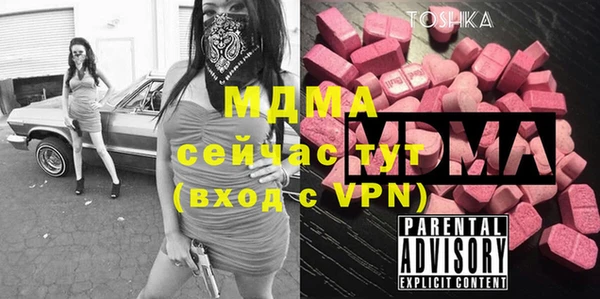 молекула духа Ельня