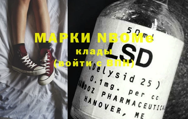 молекула духа Ельня
