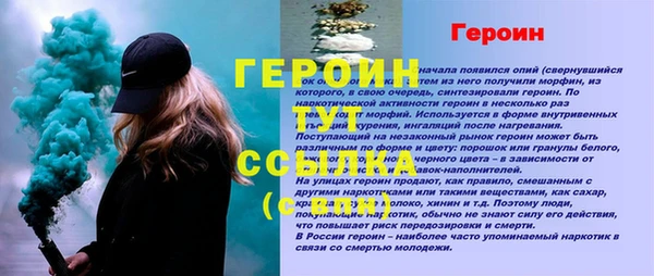 молекула духа Ельня