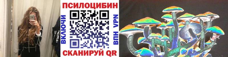Галлюциногенные грибы Psilocybe  Купить  Нижнеудинск 